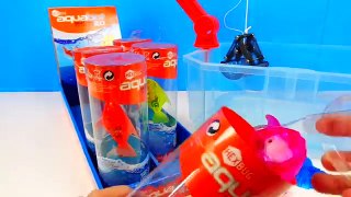 Learning Sea Animal Names Color Counting for Kids Toddlers Shark Whale Aqua Bots Fish Finding Dory