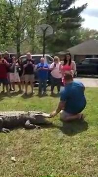 Cette famille américaine s'amuse avec son alligator... Risqué