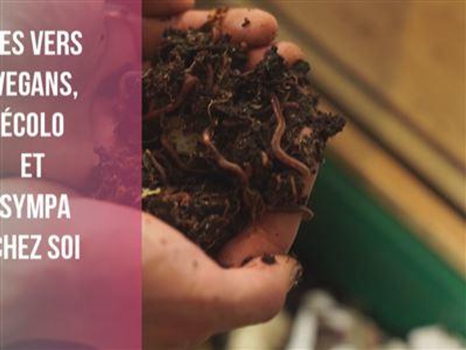 Le compost des végétaux : un must pour sa maison