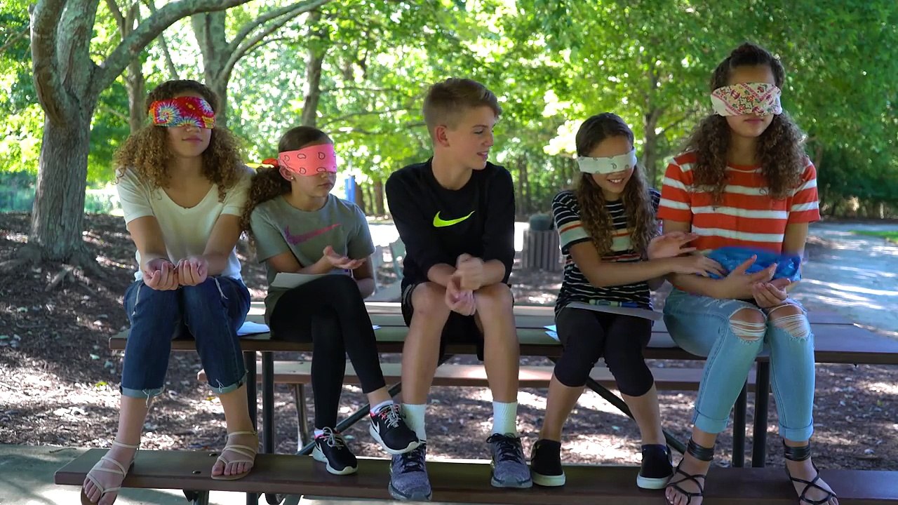 Whats In My Hand?? (MattyBRaps & Haschak Sisters)