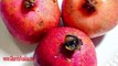 अनार के फायदे जानकर दंग रह जायेंगे आप। Health Benefits Of Pomegranate