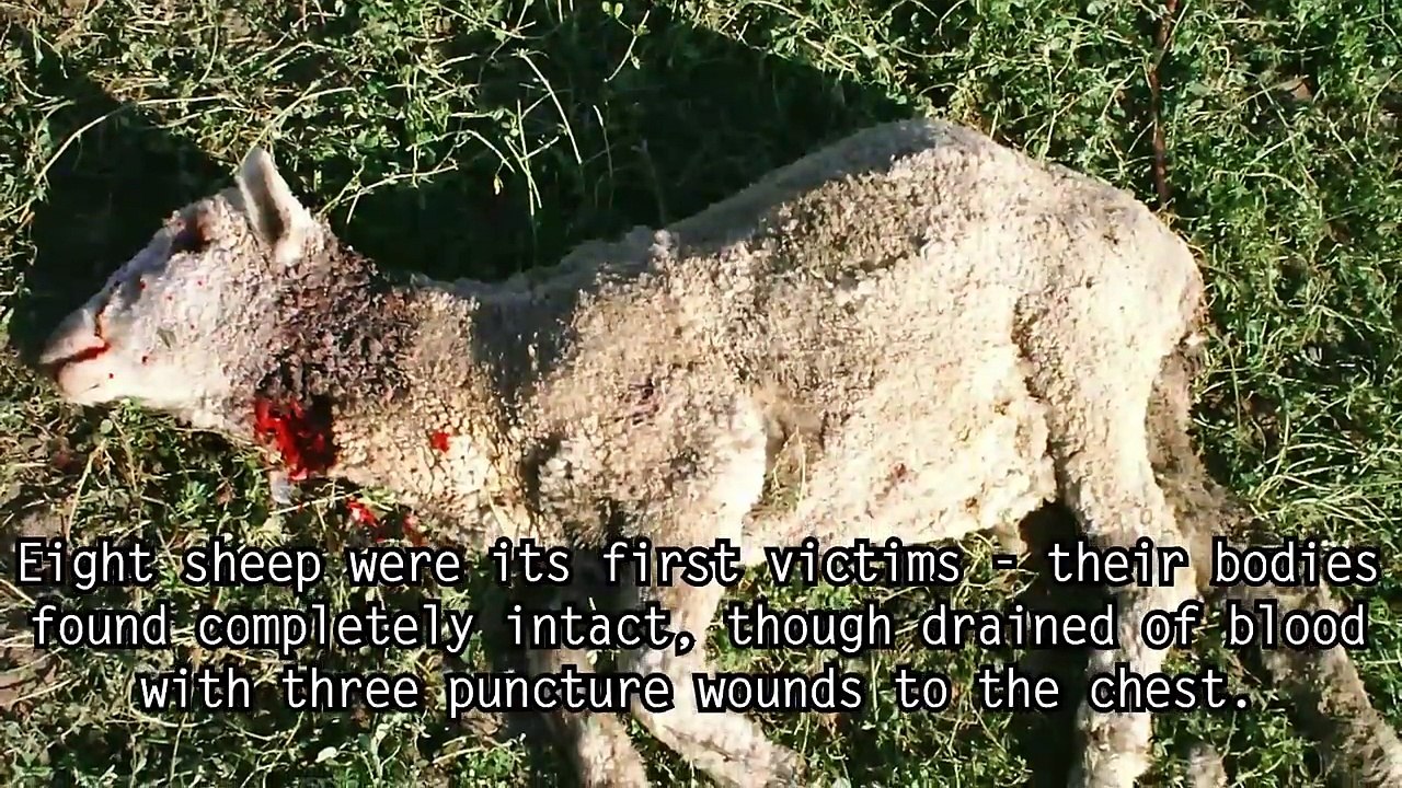 5 Alien Creatures Left Behind on Earth