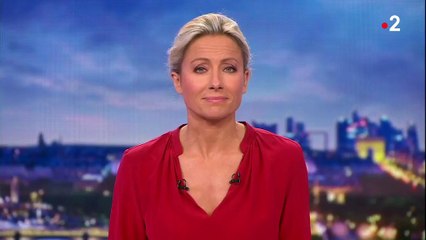 Terrorisme : existe-t-il un profit type du jihadiste français ?