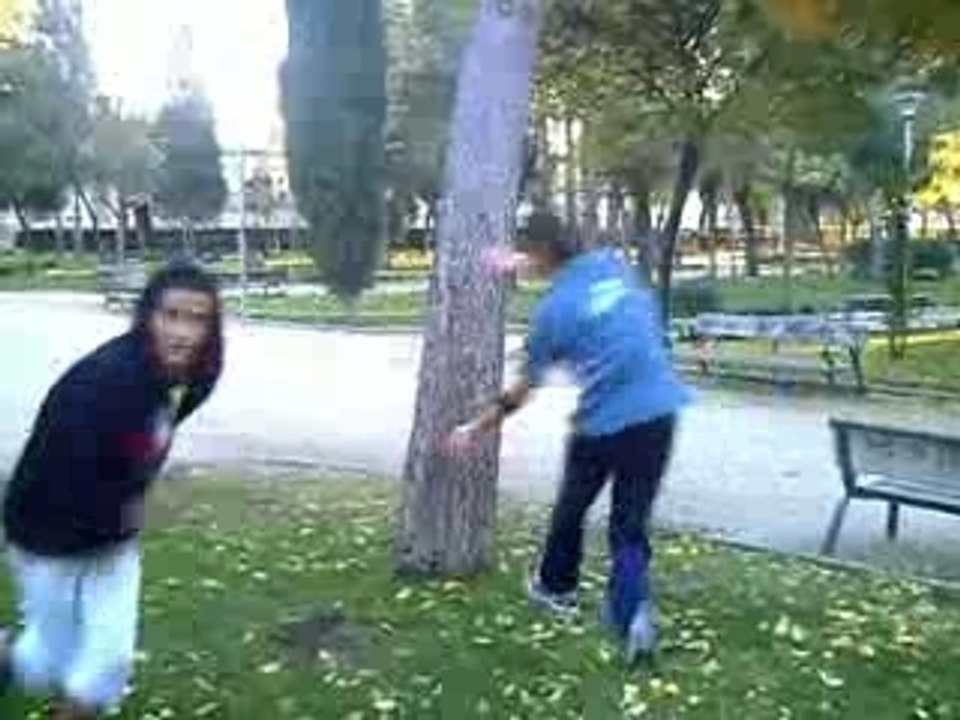 mini recopilatorio
