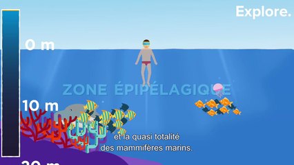 Quelle est la profondeur de l'océan