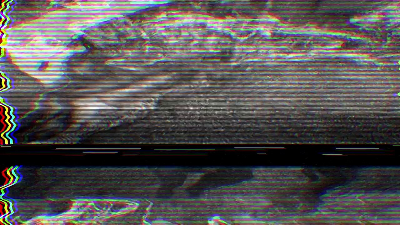 10 САМЫХ СТРАННЫХ ВЕЩЕЙ, КОГДА-ЛИБО НАЙДЕННЫХ ВНУТРИ ЖИВОТНЫХ