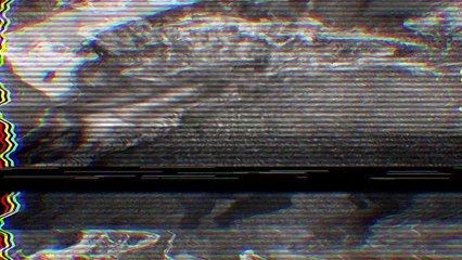 10 САМЫХ СТРАННЫХ ВЕЩЕЙ, КОГДА-ЛИБО НАЙДЕННЫХ ВНУТРИ ЖИВОТНЫХ