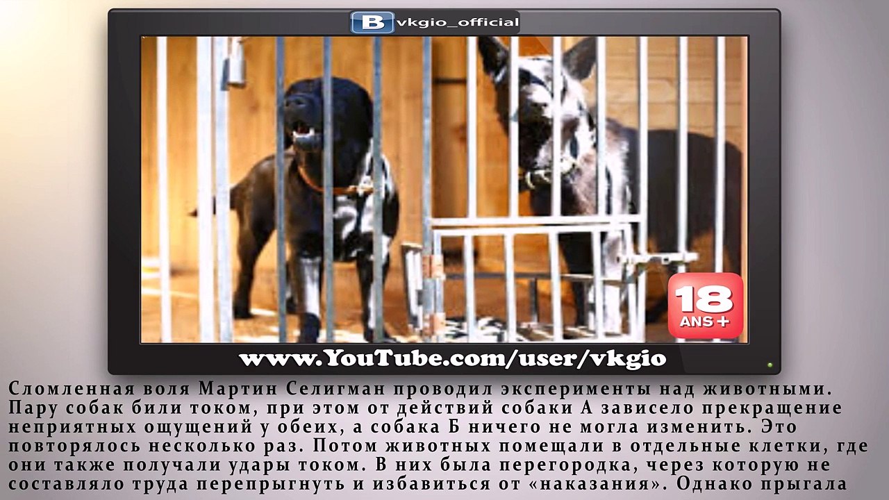5 Самых аморальных экспериментов, сделанных рад...