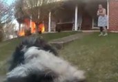 Virginia Police Officer Rescues Dog From Buena Vista House Fire