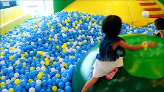 Indoor Playground Family Fun Play Area, Ball Pit and Slides - Donna The Explorer