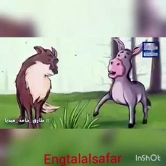 اذكى قاضي عبر التاريخ حكم فيها بين حمار وذئب