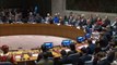 EEUU: otros países deben pagar más por misiones de paz de la ONU