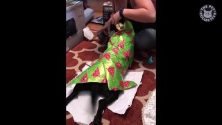 Mummy Pets - Funny Pet Video Compilation 2018