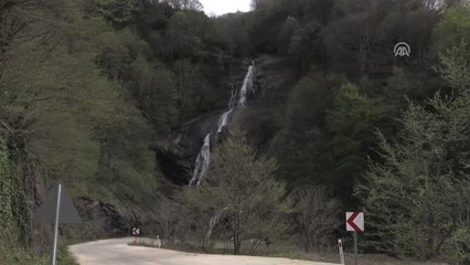 Karadeniz "Yeşil Deniz" Gibi