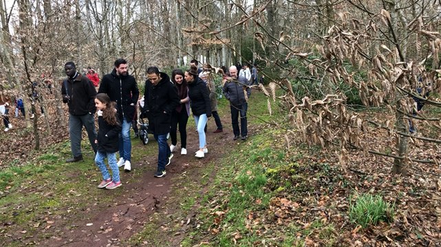 Chasse aux œufs