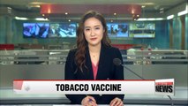 Korean researchers mass produce swine flu vaccine using tobacco leaves