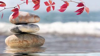 Autogenic Training: Zen Music for Relaxation & Meditation, Music Therapy with Nature Sounds