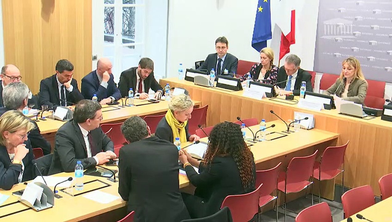 Commission des affaires économiques : M. Carlos Tavares, pdt du dir. du groupe PSA - Mercredi 28 mars 2018