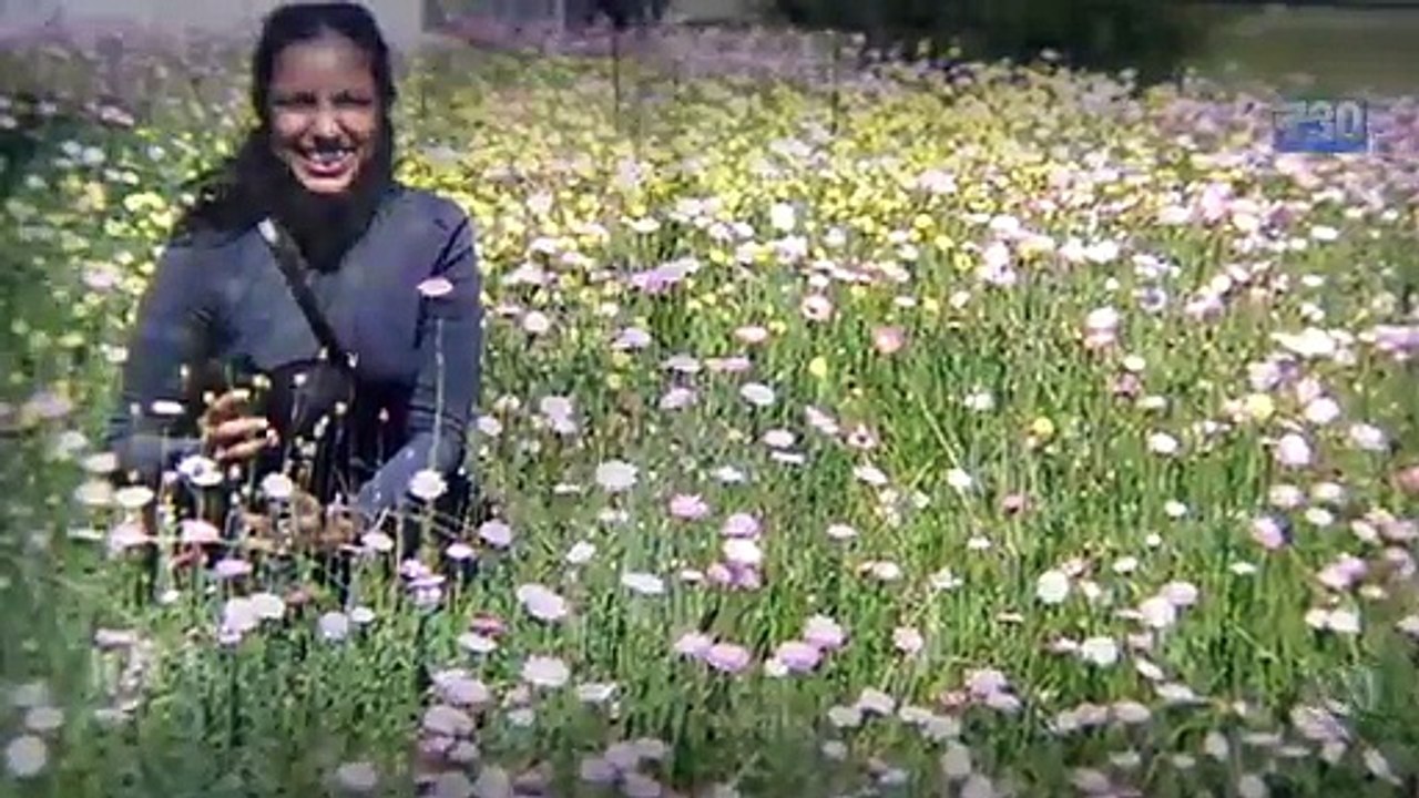 ඕස්ට්-රේලියාවේදී ලාංකික වෛද්-ය සැමියා මැරූ වෛද්-ය බිරිය චමරි ලියනගේ නිදහස ලබයි