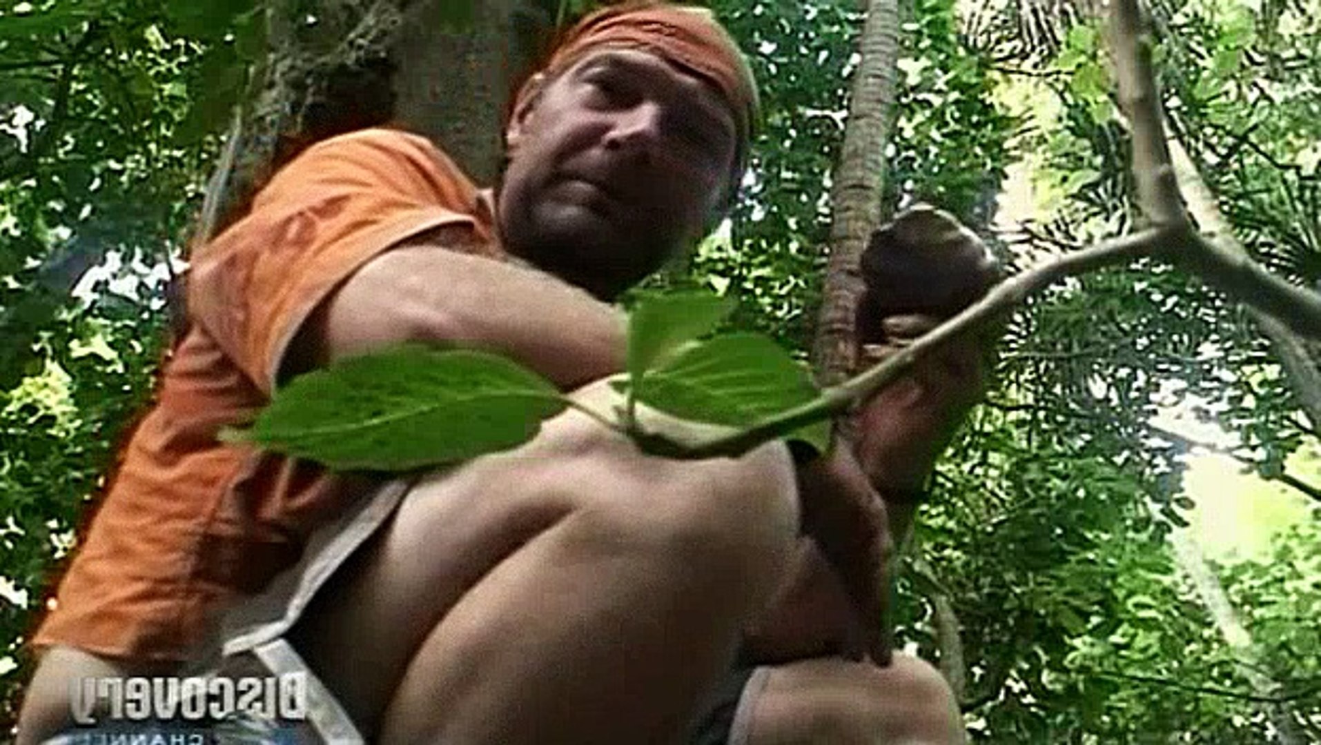 Survivorman full episodes 2025 dailymotion