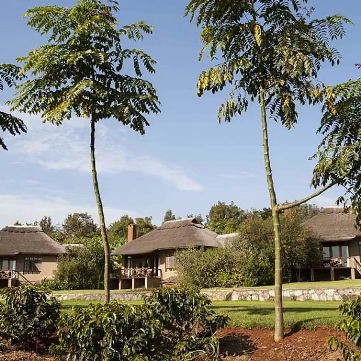 Amazing Safaris in Kenya and Tanzani At Kiboko Kenya Safaris