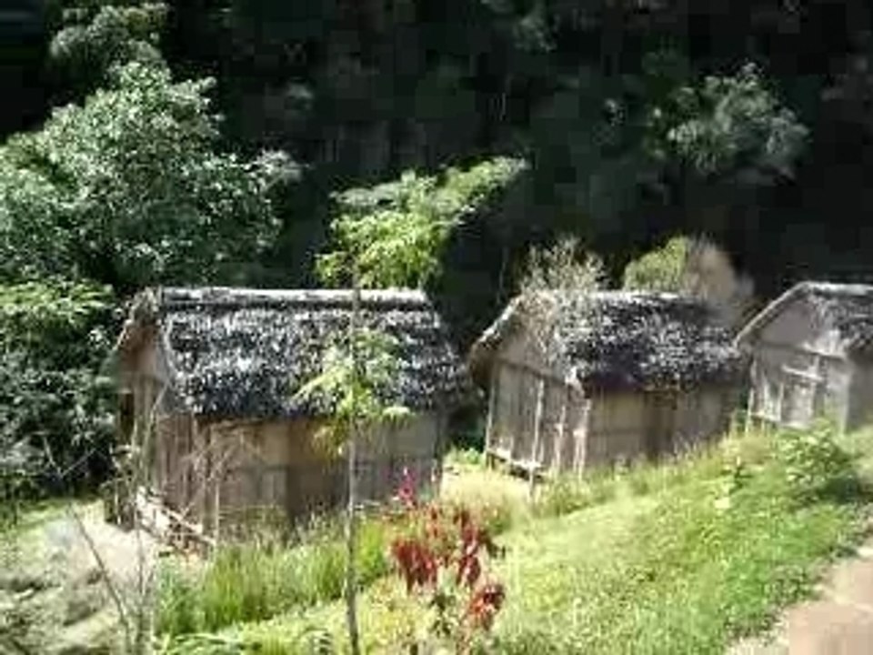 Le "village des chercheurs" à Vohimana