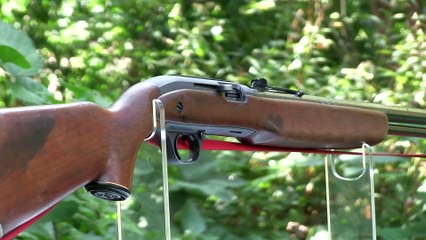 JC Higgins model 31