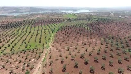 Teröristlerin Kestiği Suyu Türkiye Verecek