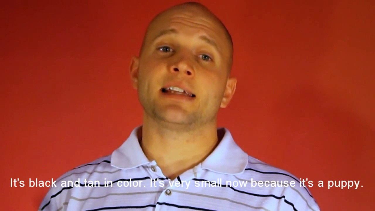 Describing things and people - Speak English quickly