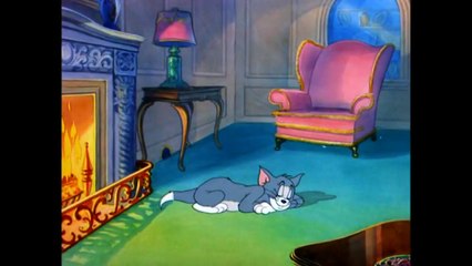 Tom and Jerry Cartoon- Heavenly puss