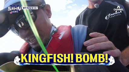 [선공개] 야성미 대폭발!!! 너 죽고! 나 죽자! 부시리 꼭 잡으리