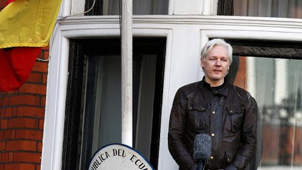 Julian Assange privé d'internet
