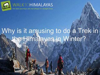 Why is it amusing to do a Trek in the Himalayas