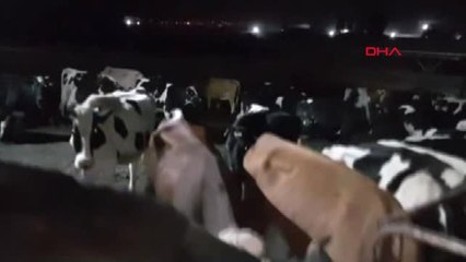 Operasyon Yapılan Birlik Beraberlik Çiftliği'nin Sahibi : Ben de Çiftlik Mağduruyum