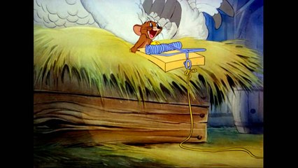 Tom and Jerry Cartoon- Fine Feathered Friend