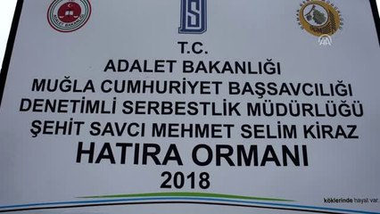 Şehit Savcı Kiraz İçin Hatıra Ormanı Oluşturuldu