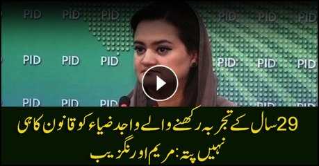Wajid Zia knows nothing about law, says Marriyum Aurangzeb