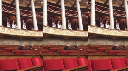 Irruption de militants pour la cause animale à l'Assemblée nationale