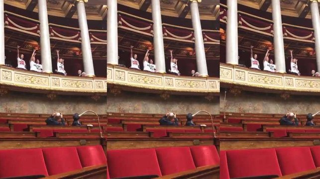 Irruption de militants pour la cause animale à l'Assemblée nationale