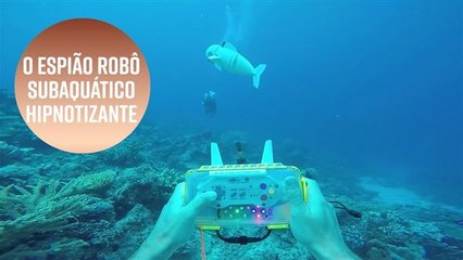 Um peixe feito em impressora 3D para estudar o oceano