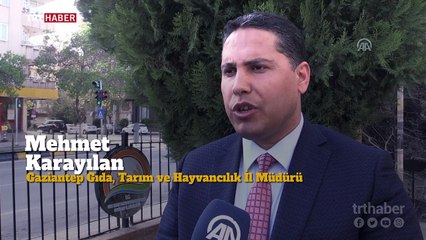 Türkiye, Fırat Kalkanı bölgesini tarımsal destekle kalkındırıyor