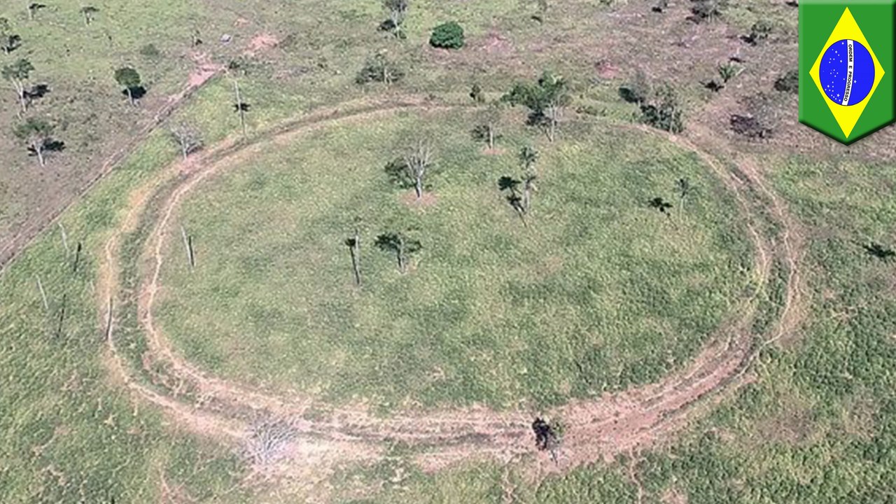 Archaeologists find 81 lost settlements in the Amazon