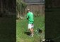 Man Blissfully Ignores Dog Attacking His Garden Hose