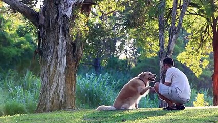 DEMIES don't eat mammals