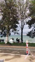 Bursa akp belediyesi İznik gölünde Ağaç katliamı yapıyor