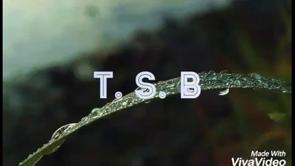 Bowlers unexpected super sonic catches