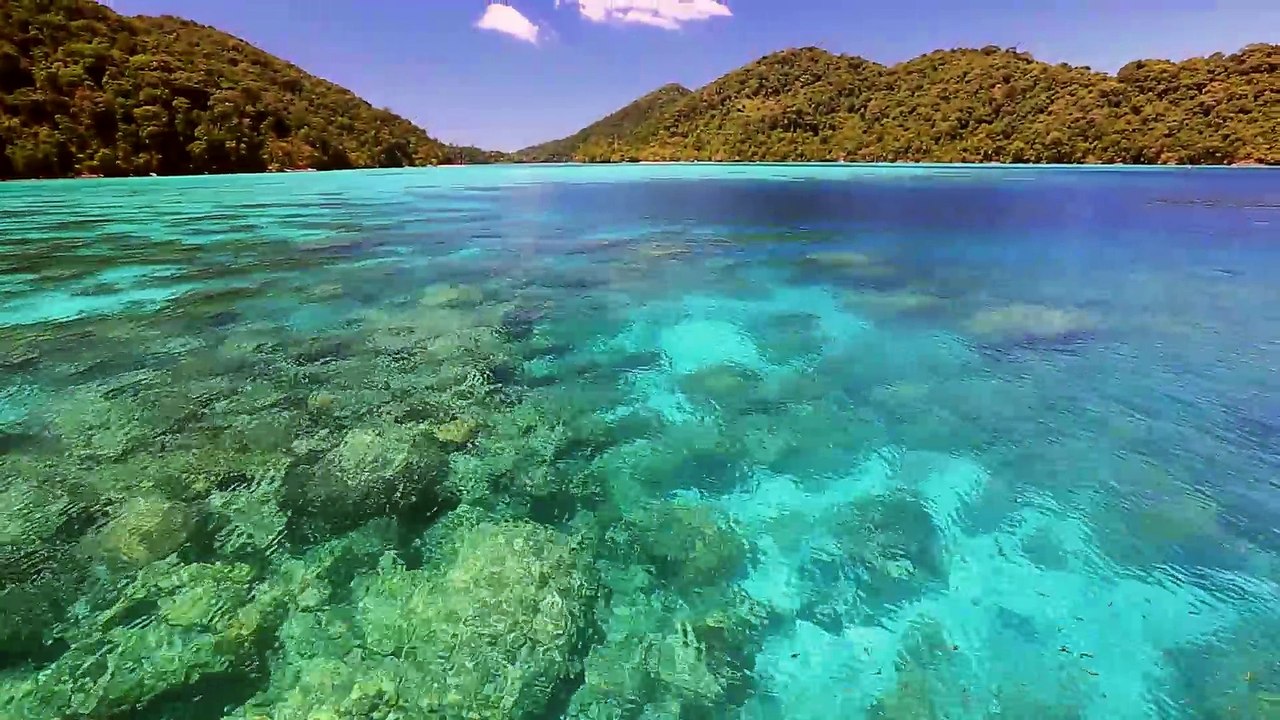 Boating Dreams - Volvo Penta