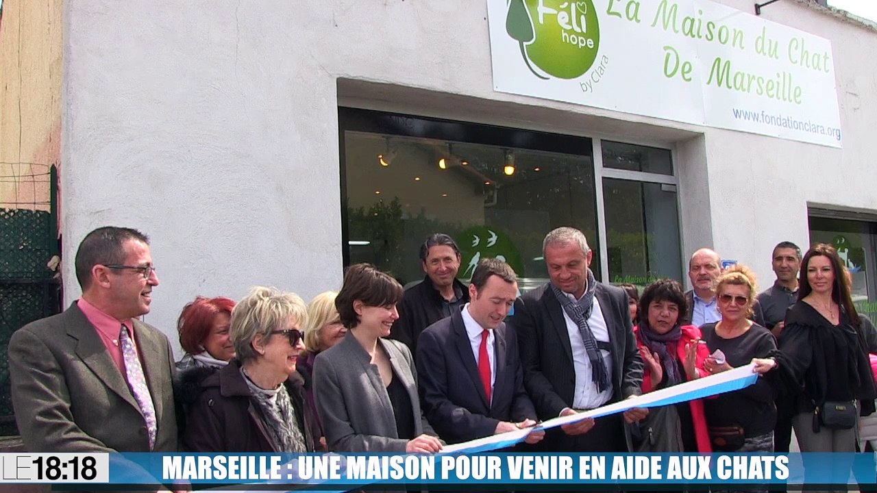 L'ouverture de la maison des chats à Marseille va permettre de stériliser gratuitement entre 700 et 900 félins par an.