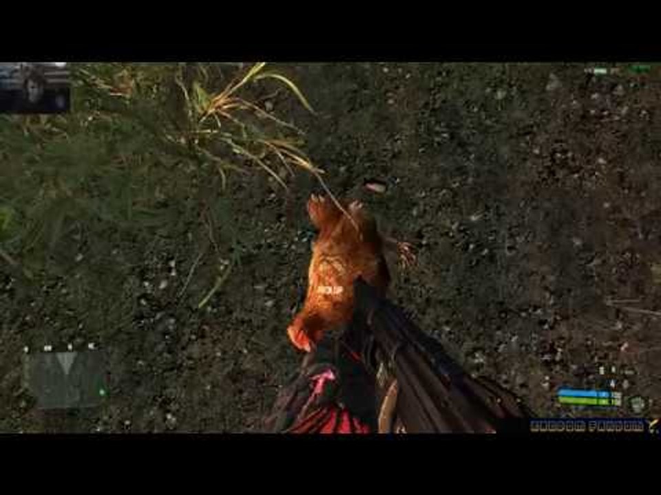Crysis