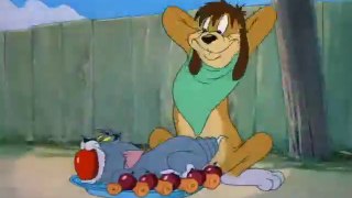 The Truce Hurts - Tom and Jerry (35)